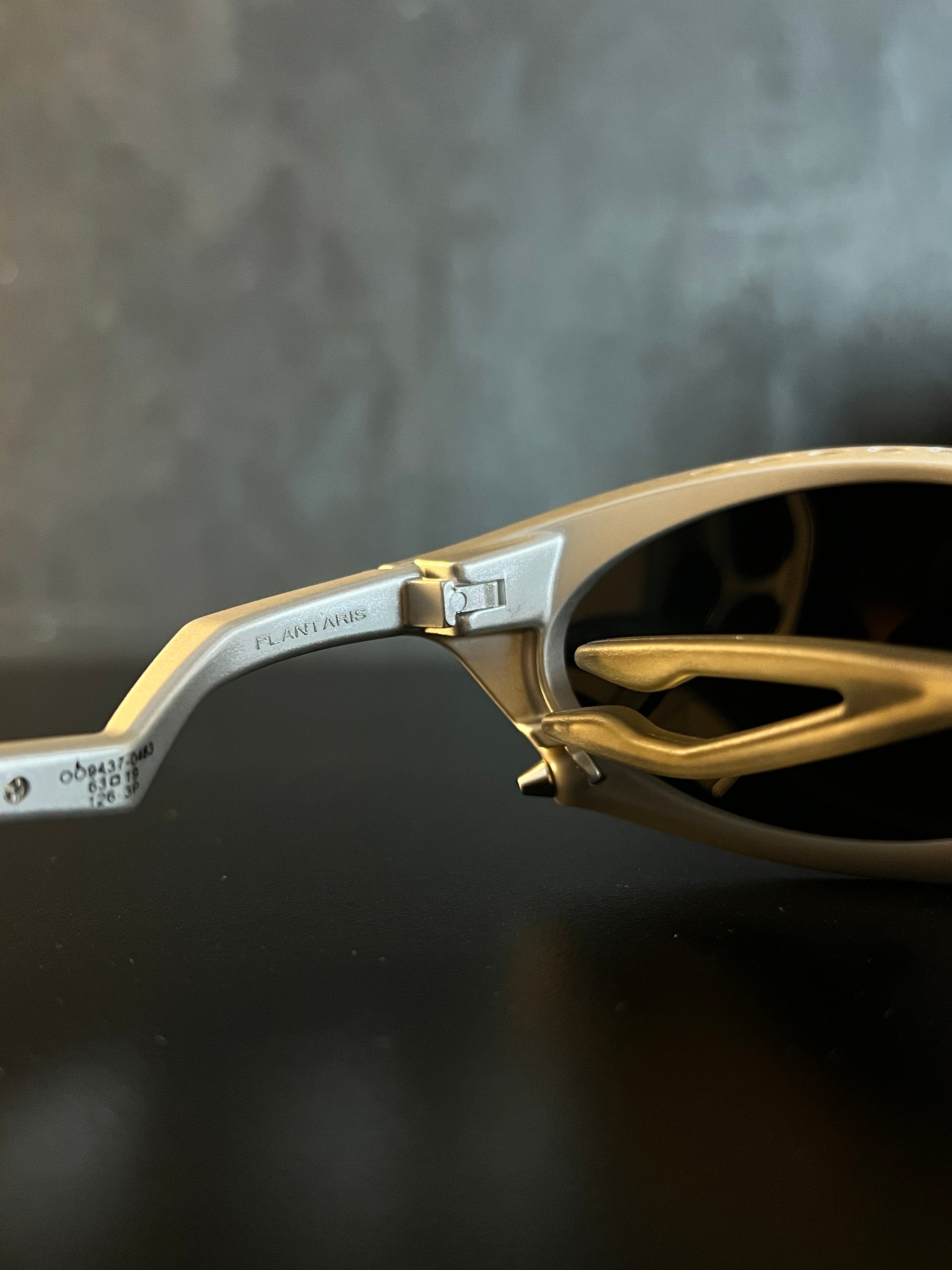 Plantaris Cinza Lentes Black (un)